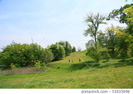 Fresh green park Fresh green park 53835696