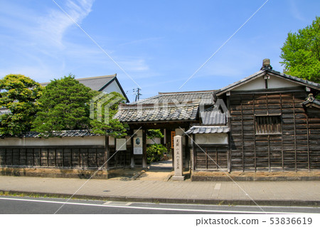 Shiomi nodami 53836619