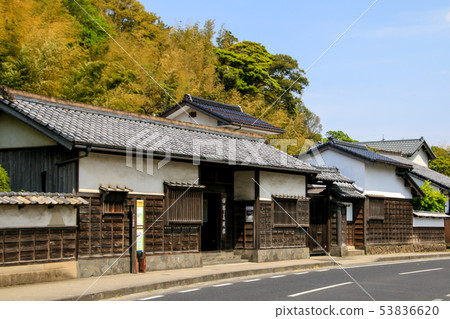 Shiomi nodami 53836620