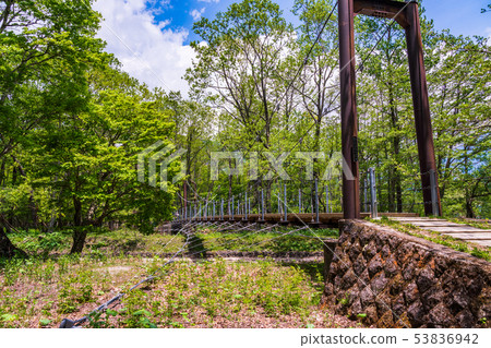 （栃木縣）Oku Nikko / Sendegahama長廊 53836942