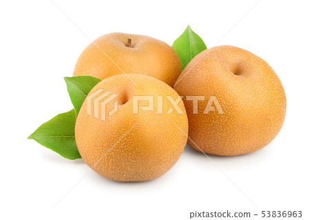 Fresh asian pear with leaf isolated on white background Fresh asian pear with leaf isolated on white background 53836963