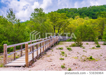 (栃木縣)Oku Nikko-Sendegahama Boardwalk Bridge (栃木縣)Oku Nikko-Sendegahama Boardwalk Bridge 53836964