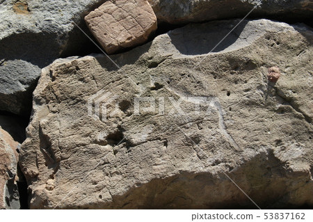 Rough rough skin Rough rough skin 53837162