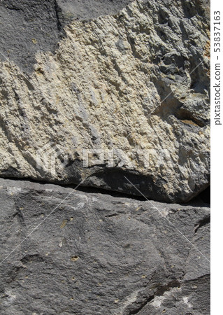 粗糙的皮膚 53837163