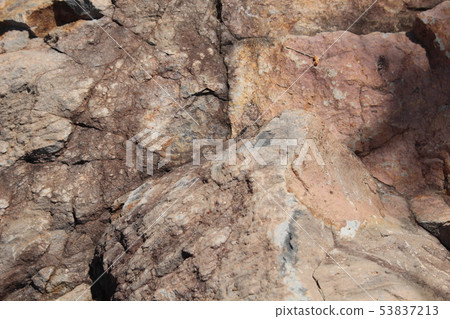 Rough rough skin Rough rough skin 53837213