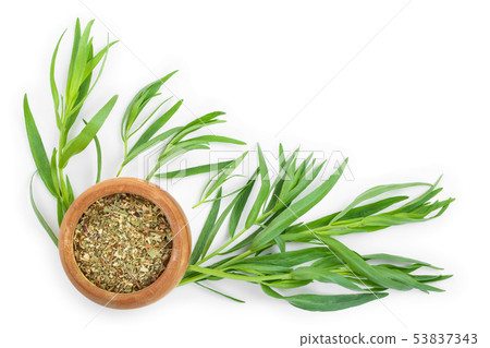 tarragon or estragon fresh and dried isolated on a white background with copy space for your text tarragon or estragon fresh and dried isolated on a white background with copy space for your text 53837343