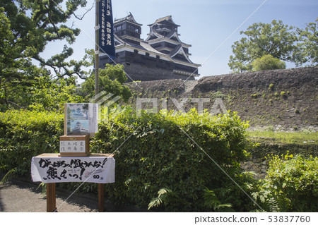 Kumamoto Earthquake Reconstruction Fund 53837760