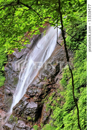 Fresh green sister waterfall Fresh green sister waterfall 53838477
