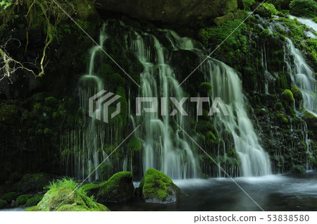 Motoyuki underwater water Motoyuki underwater water 53838580