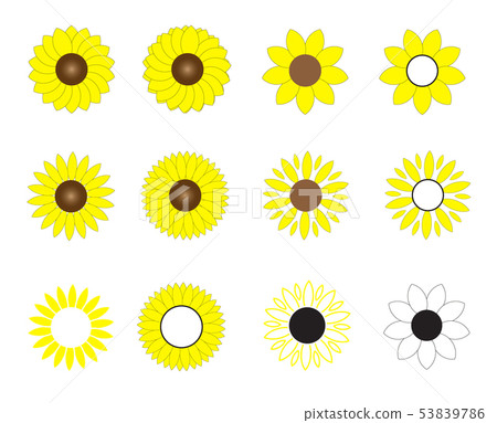 sunflowers icon on white background. flowers logo. sunflowers icon on white background. flowers logo. 53839786