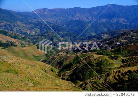中國桂林的平安龍吉水稻梯田,四面環山 中國桂林的平安龍吉水稻梯田,四面環山 53840172