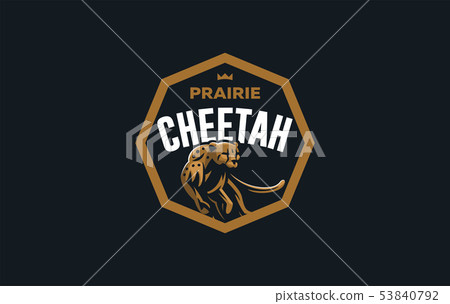 The image of a cheetah. 53840792