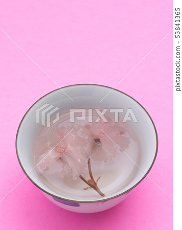 Sakura Sakura 53841365