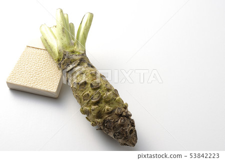 Wasabi and shark shell 53842223
