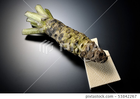 Wasabi and shark shell 53842267