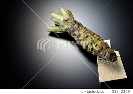 Wasabi and shark shell 53842269