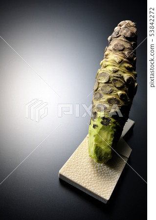 芥末和鯊魚殼 53842272