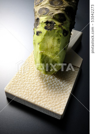 芥末和鯊魚殼 53842273