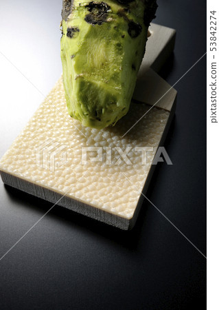 芥末和鯊魚殼 53842274