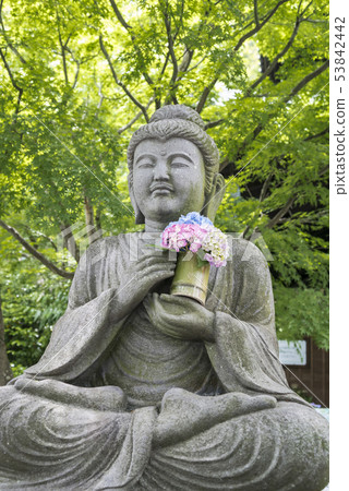 Haseji Temple（鎌倉市長谷） 53842442