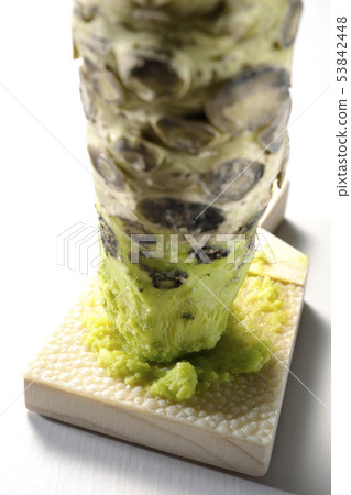 Wasabi and shark shell 53842448