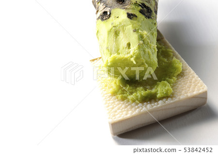 芥末和鯊魚殼 芥末和鯊魚殼 53842452