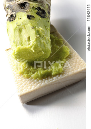 芥末和鯊魚殼 53842453