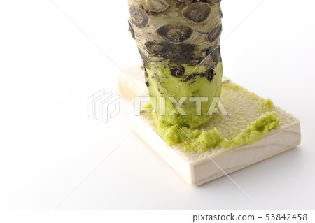 Wasabi and shark shell 53842458