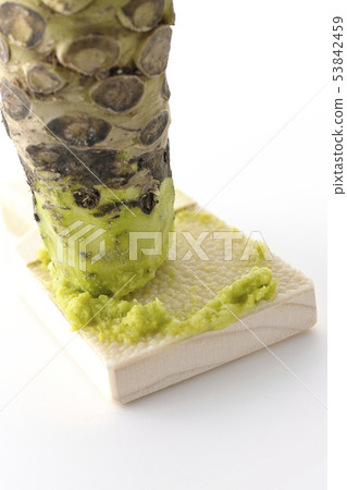 Wasabi and shark shell 53842459