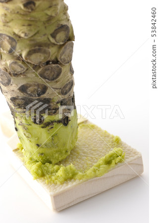 Wasabi and shark shell 53842460