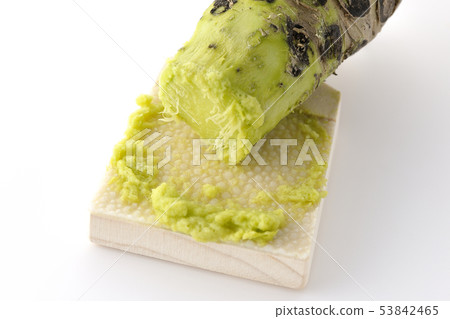 Wasabi and shark shell 53842465