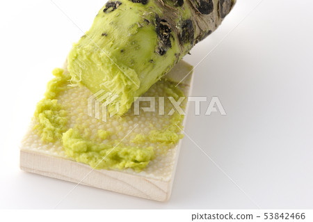 芥末和鯊魚殼 芥末和鯊魚殼 53842466