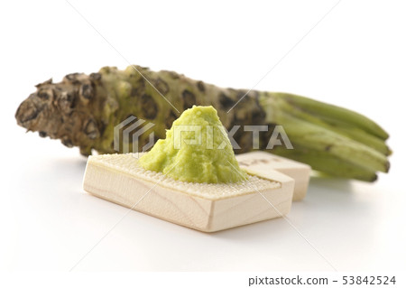 wasabi  53842524