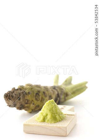 wasabi  53842534