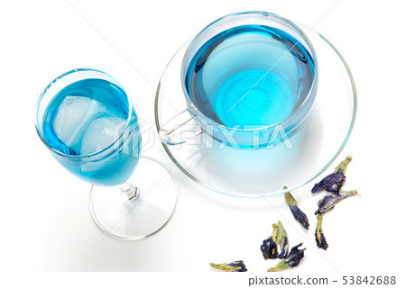 Butterfly pea tea 53842688