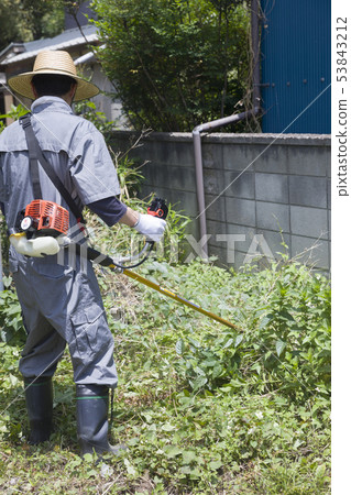 Weeding image, weeding image Weeding image, weeding image 53843212