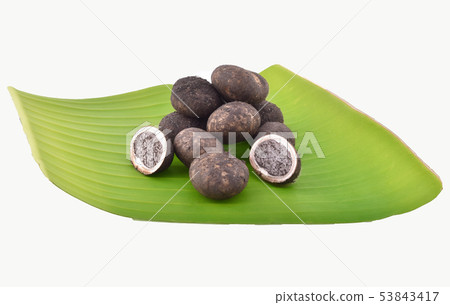 Barometer Earthstars, Mushroom isolated on white 53843417