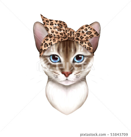 Cute cat wearing bandana 53843709