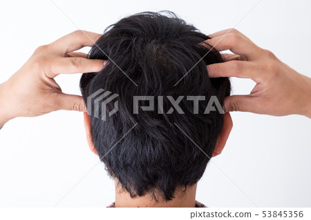 發 53845356