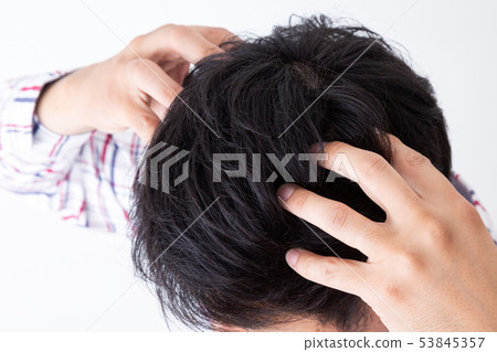 發 發 53845357