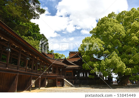 琴平神社 琴平神社 53845449