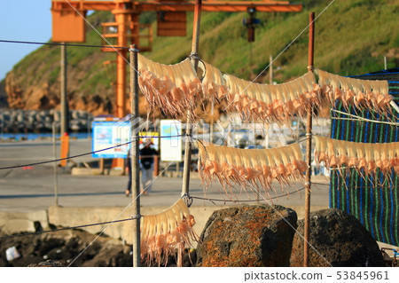 海邊，土壤層壓，海灘，長廊， 53845961