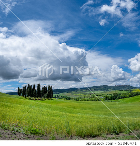 Rural Countryside In Italy Region Of Tuscany 53846471