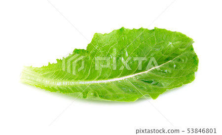 Fresh cos lettuce leaf isolated on white 53846801