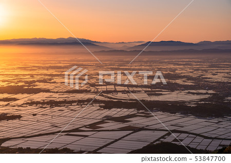 《Niigata Prefecture》 Echigo Plain at dawn 53847700