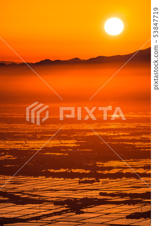 《新潟縣》越後平原 53847719