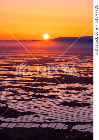 《新潟縣》越後平原 53847726