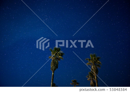 夜空和鳳凰 53848384