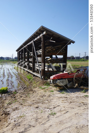 Immediately after planting rice and planting machines Immediately after planting rice and planting machines 53848560