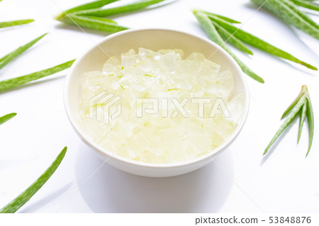 Aloe vera is a popular medicinal plant for health. 53848876